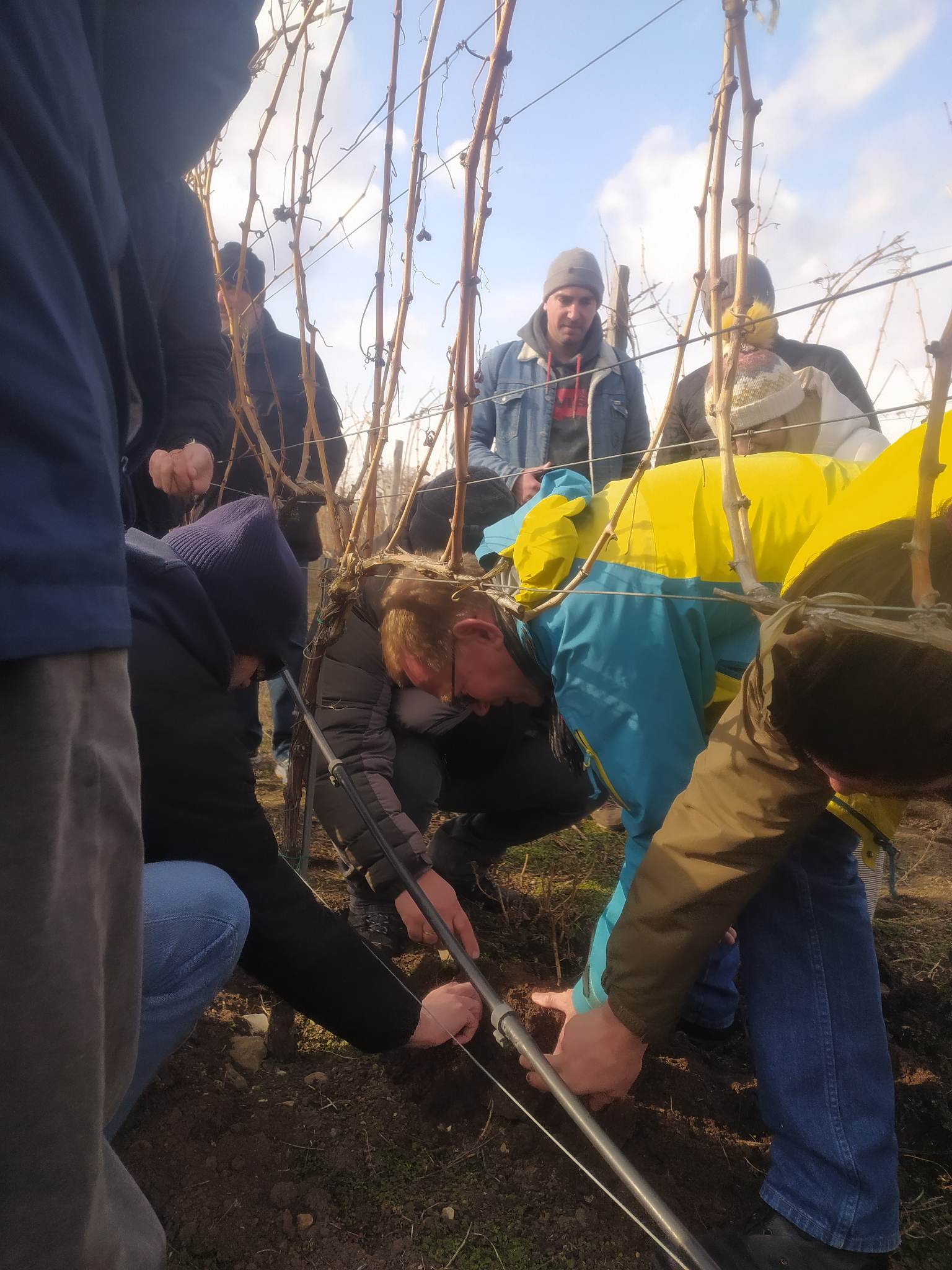 Paulin Koepfer's three-day training for Georgian winemakers